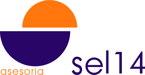 logo-asesoria-sel-14